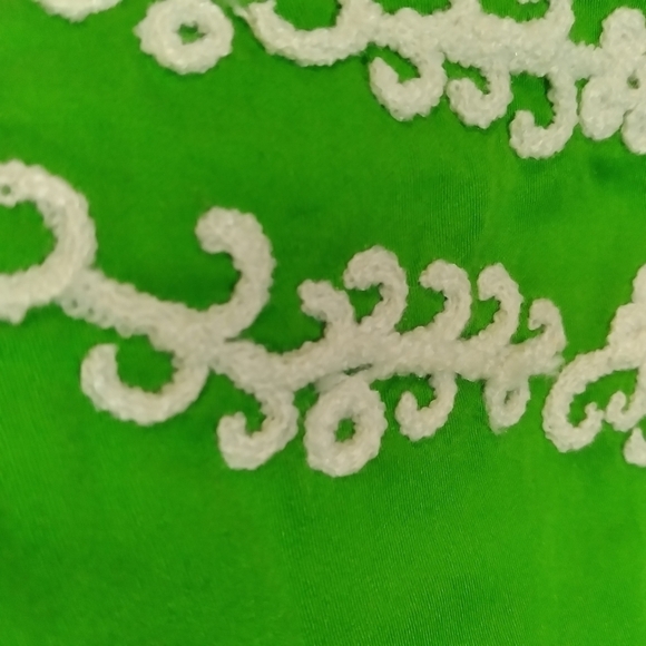 Lilly Pulitzer Green Paisley Embroidered Jacqueline Shift Dress - Picture 7 of 15